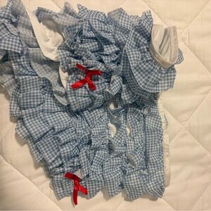 Blue Gingham Low Waist Short Shorts